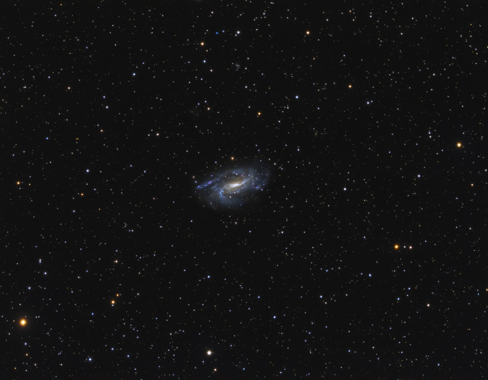 NGC_925.jpg