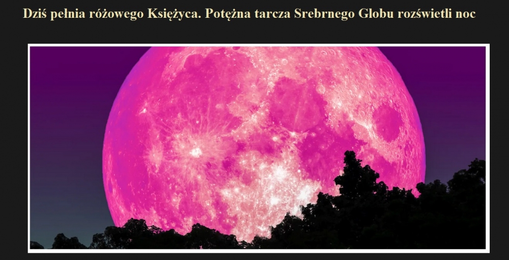 Dziś pełnia różowego Księżyca. Potężna tarcza Srebrnego Globu rozświetli noc.jpg