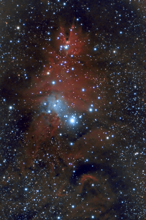 NGC2264Finalcrop.thumb.jpg.8873bdb6d1f1872d84a528a9ed34bfea.jpg