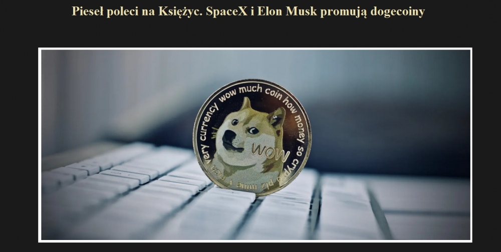 Pieseł poleci na Księżyc. SpaceX i Elon Musk promują dogecoiny.jpg