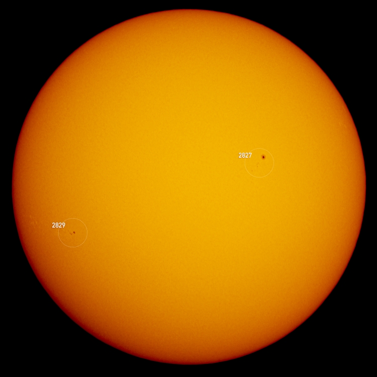 sun-2021-06-03-2829-2827.jpg