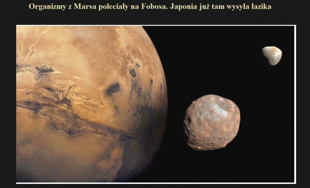 Organizmy z Marsa poleciały na Fobosa. Japonia już tam wysyła łazika.jpg
