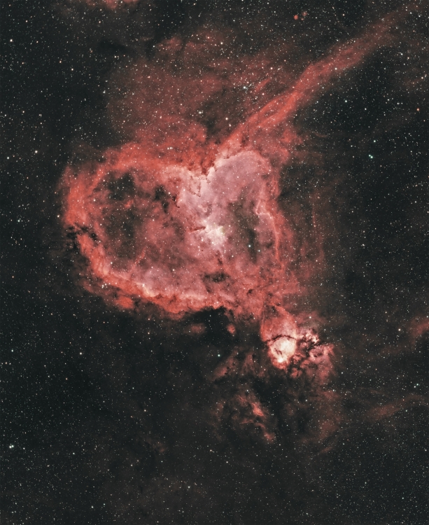 IC1805HOO web.jpg