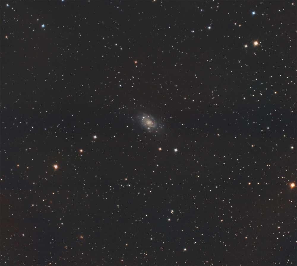 NGC2403-denoise.jpg