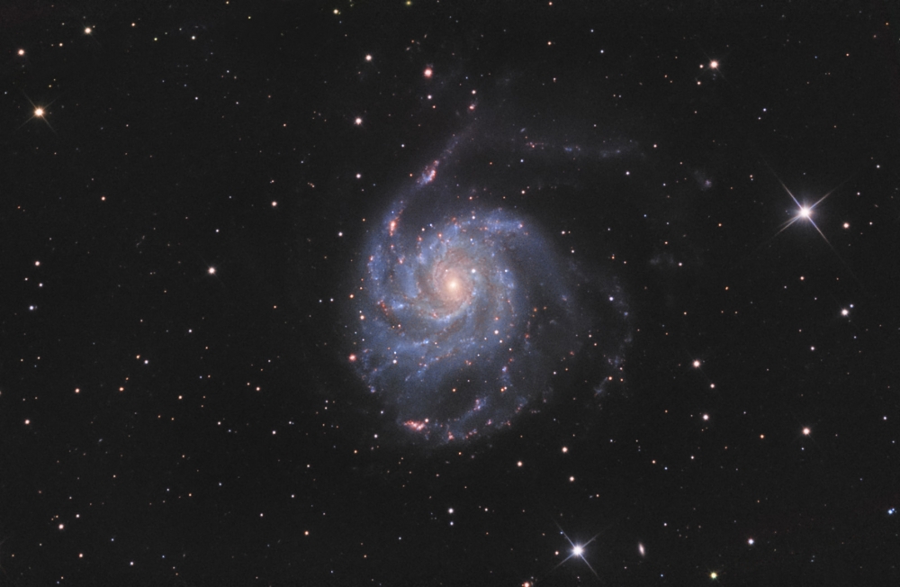 M101 Wiatraczek got.jpg
