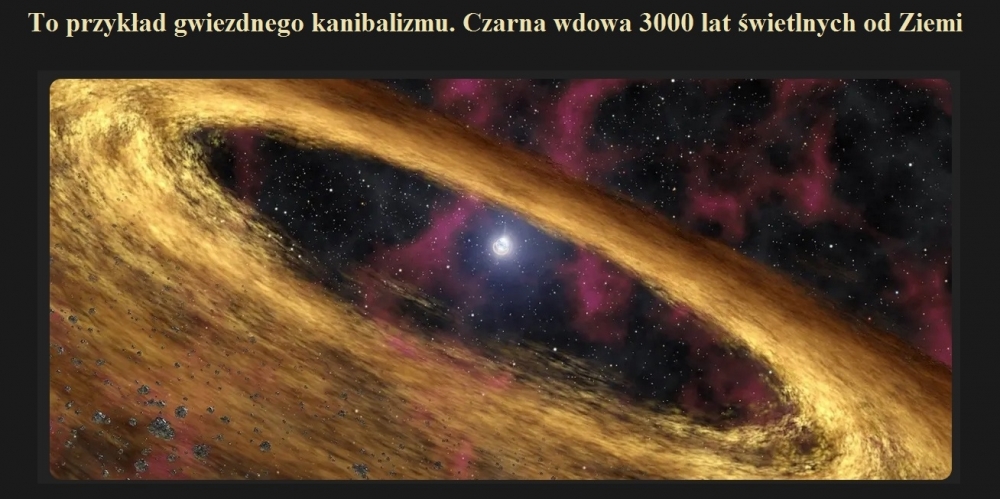 To przykład gwiezdnego kanibalizmu. Czarna wdowa 3000 lat świetlnych od Ziemi.jpg