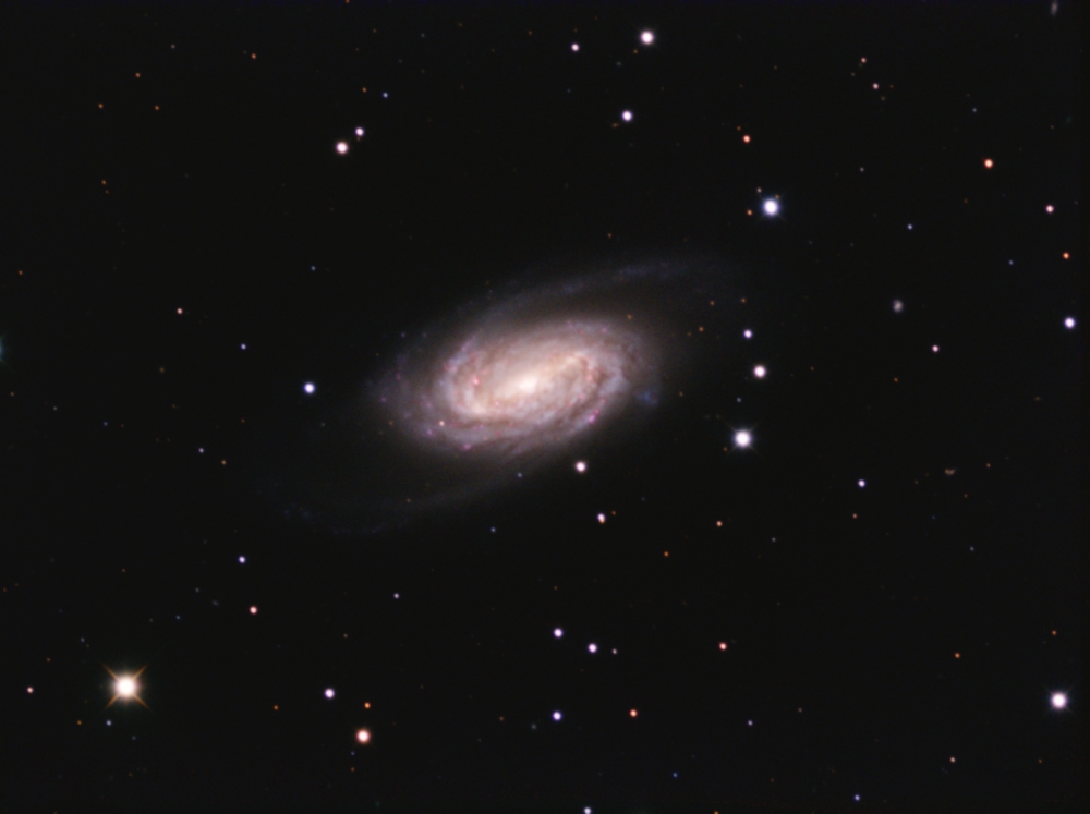 NGC2903.thumb.jpg.08acbde3e0bb9b420f0070335cdc9310.jpg
