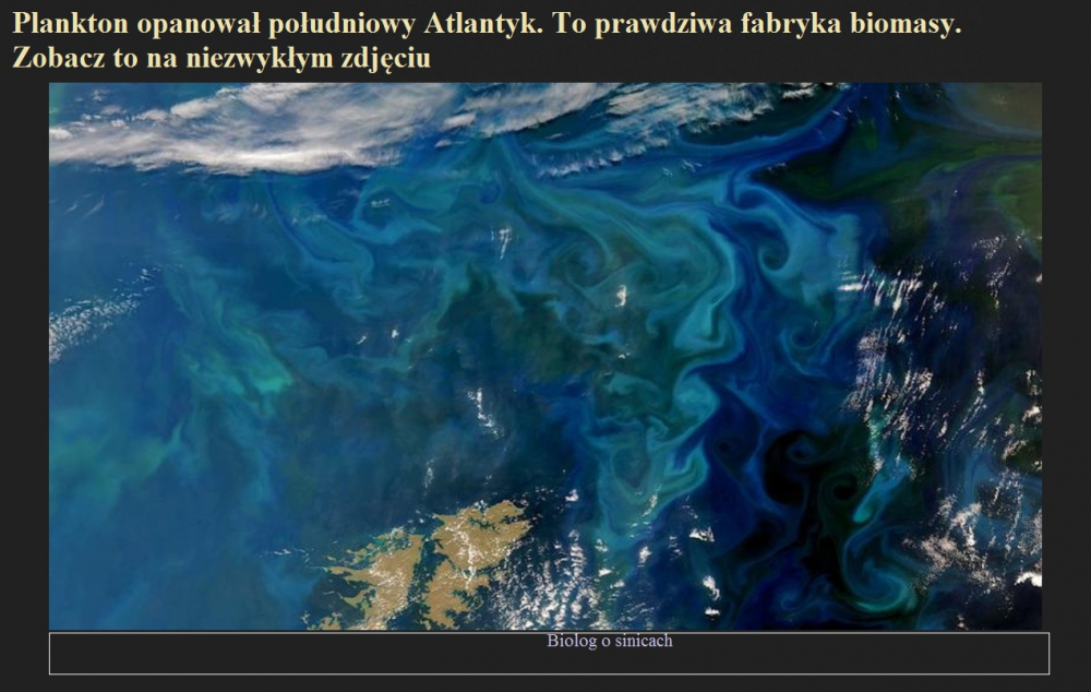Plankton opanował południowy Atlantyk. To prawdziwa fabryka biomasy. Zobacz to na niezwykłym zdjęciu.jpg