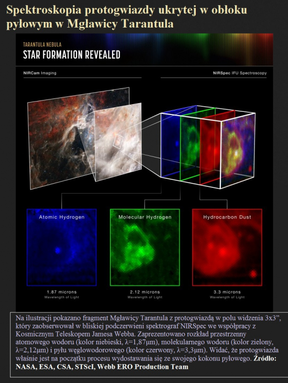 Spektroskopia protogwiazdy ukrytej w obłoku pyłowym w Mgławicy Tarantula.jpg
