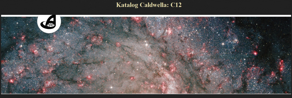 Katalog Caldwella C12.jpg