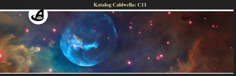 Katalog Caldwella C11.jpg