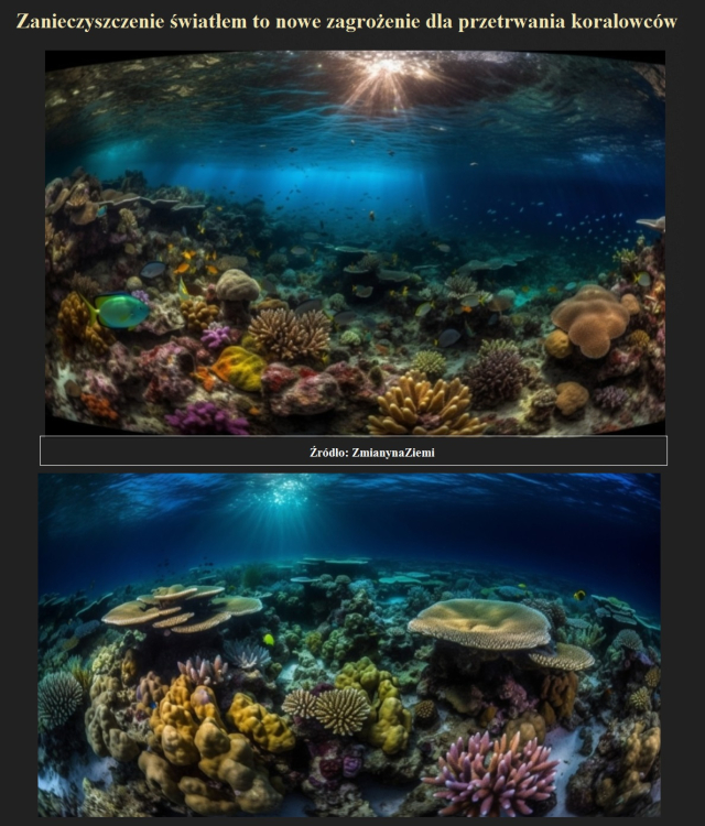 Zanieczyszczenie światłem to nowe zagrożenie dla przetrwania koralowców.jpg