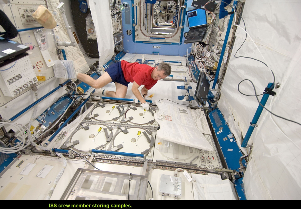 ISS-20_Robert_Thirsk_at_the_Minus_Eighty_Degree_Laboratory_Freezer.jpg