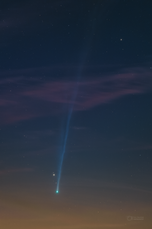 Comet Nishimura_Petr Horalek.png