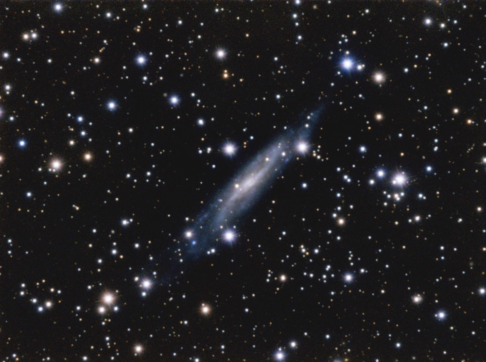 NGC7640BEST.thumb.jpg.b8e0947ad4927ea67e7f6856f9672fc9.jpg
