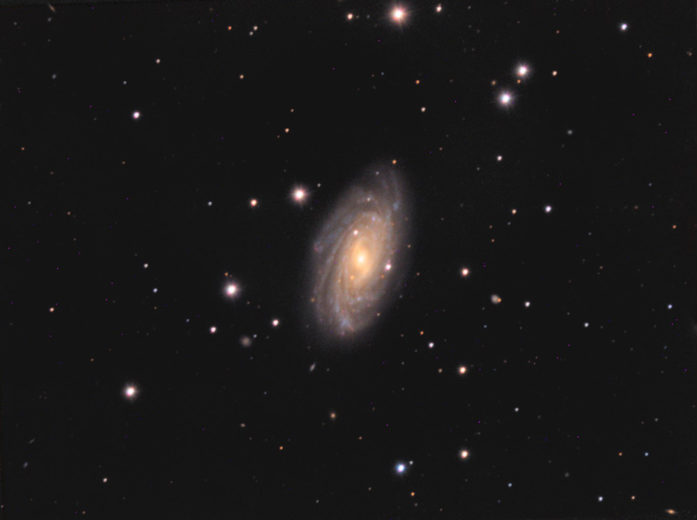 NGC3953.thumb.jpg.9a0d4f141ab23f4bd9ac16bfcee37aa8.jpg