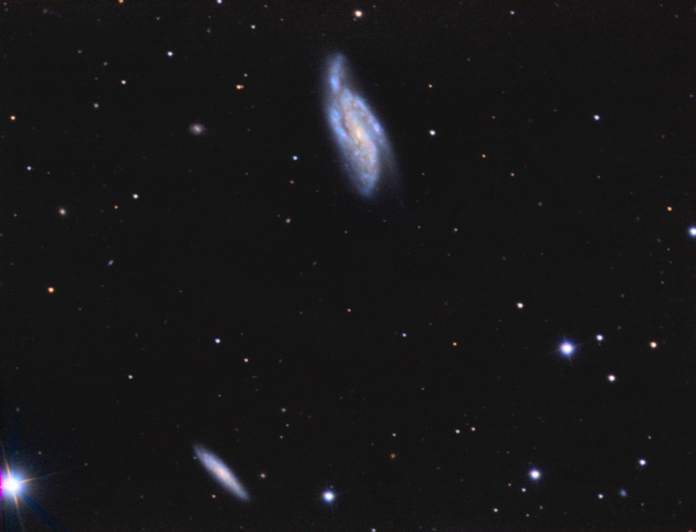 NGC4088.thumb.jpg.b78aef29ec5d4ada43323a205b6268df.jpg