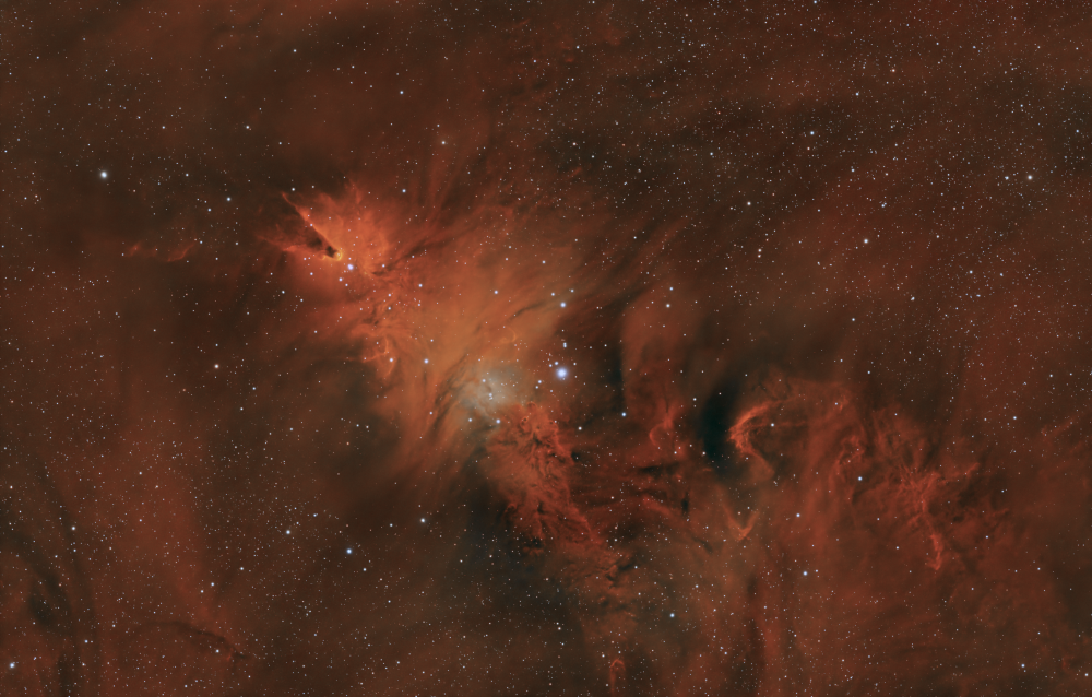 NGC2264.png