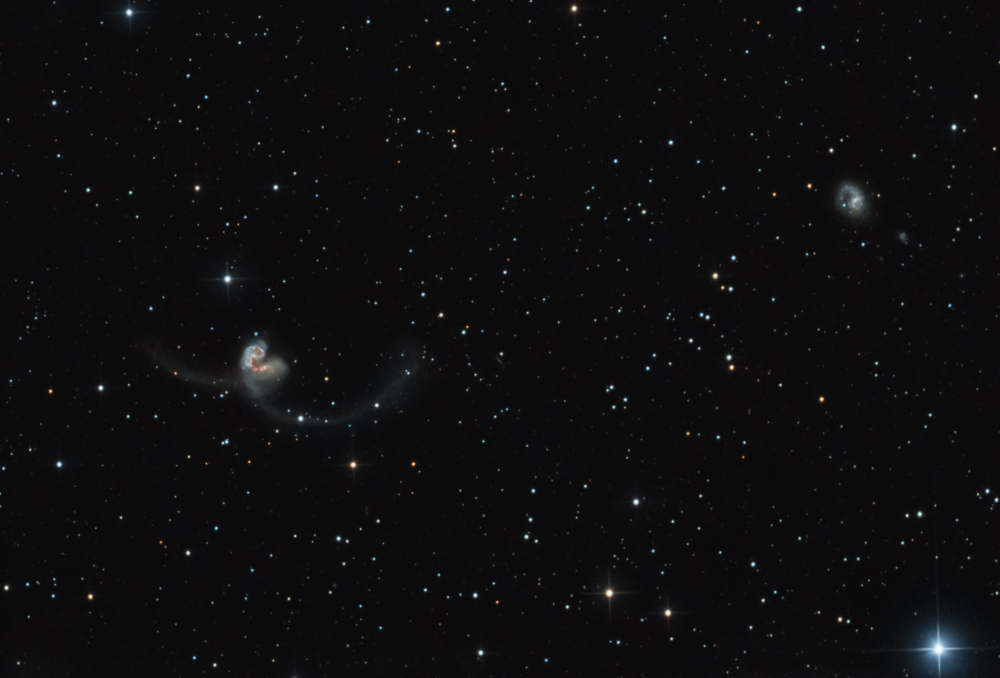 NGC 4038.jpg
